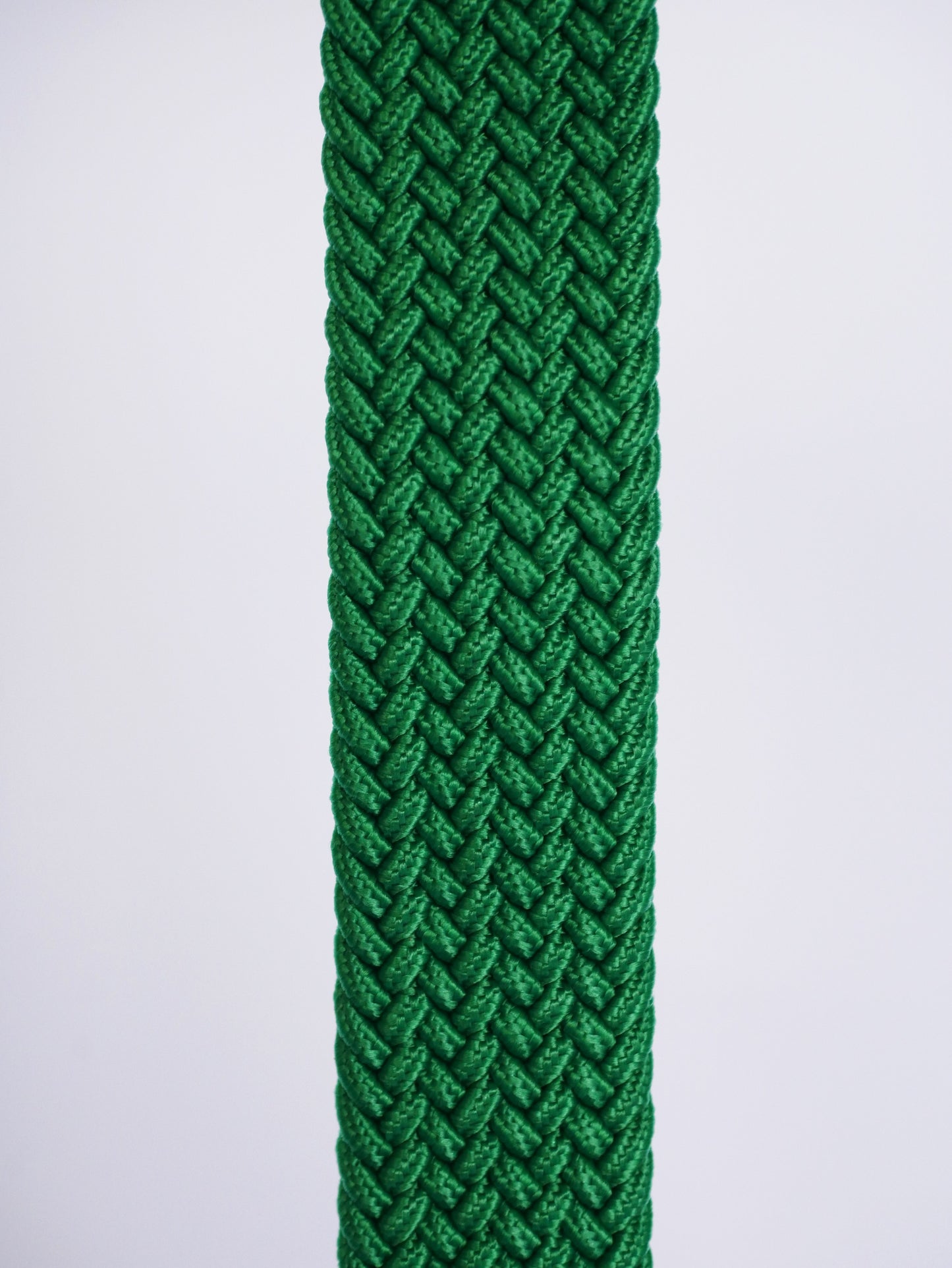 FRANKLIN - Golf Belt